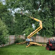 Best Hazardous Tree Removal  in La Pine, OR