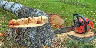 Best Hazardous Tree Removal  in La Pine, OR